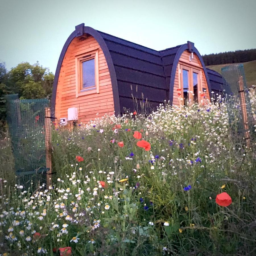 Clova Pod, Kilry Eco Pods Hotell Blairgowrie and Rattray Exteriör bild